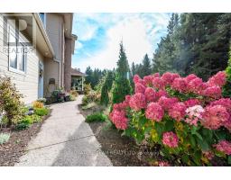 368 Dombroskie Road, Whitewater Region, ON K0J1Y0 Photo 43