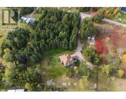368 Dombroskie Road, Whitewater Region, ON K0J1Y0 Photo 49