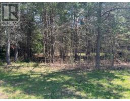0 Dombroskie Road, Whitewater Region, ON K0J1Y0 Photo 12