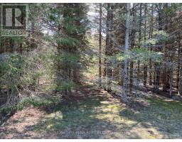 0 Dombroskie Road, Whitewater Region, ON K0J1Y0 Photo 13