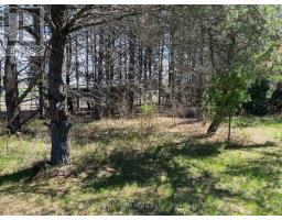 0 Dombroskie Road, Whitewater Region, ON K0J1Y0 Photo 14