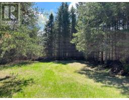 0 Dombroskie Road, Whitewater Region, ON K0J1Y0 Photo 15