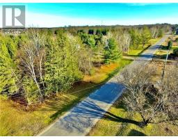 0 Dombroskie Road, Whitewater Region, ON K0J1Y0 Photo 20