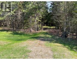 0 Dombroskie Road, Whitewater Region, ON K0J1Y0 Photo 8