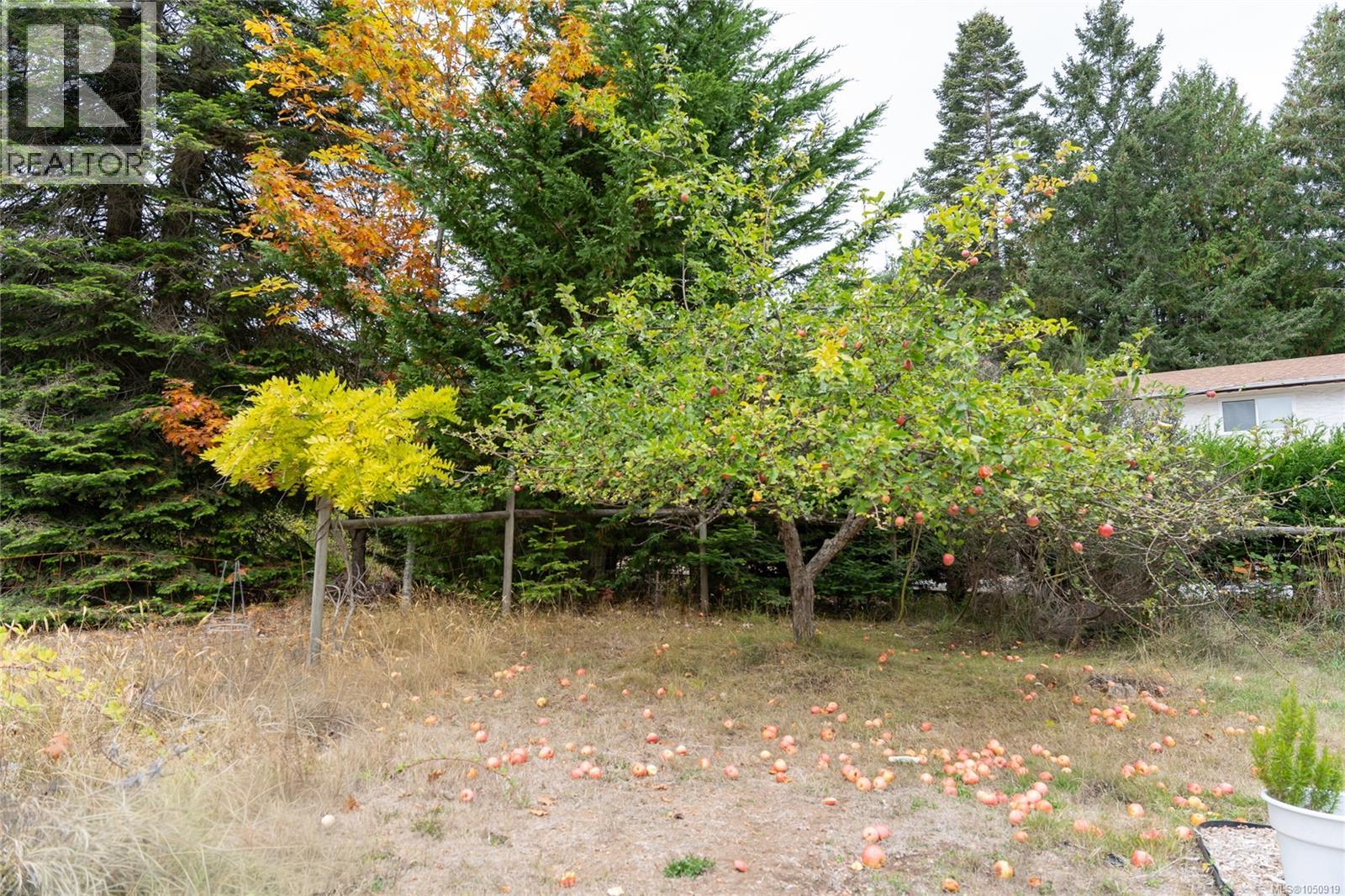 1571 Tatlo Rd W - 21
