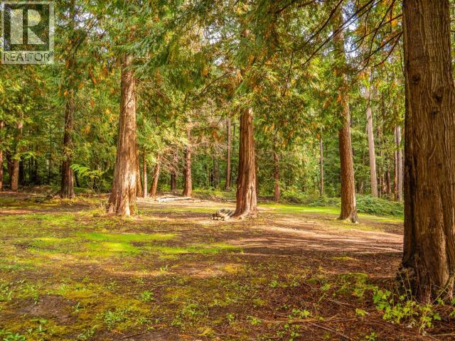 8089 DAISY ROAD - 6