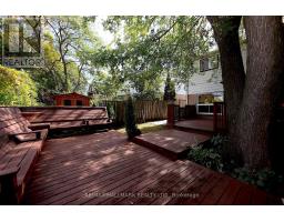 781 Pam Crescent, Newmarket, ON L3Y5B7 Photo 26