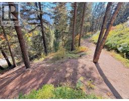 114 Thistle Road, Princeton, BC V0X1W0 Photo 40