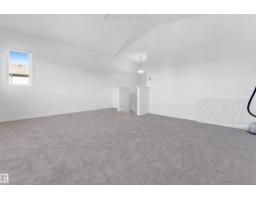 3908 166 Av Nw, Edmonton, AB T5Y0N9 Photo 24