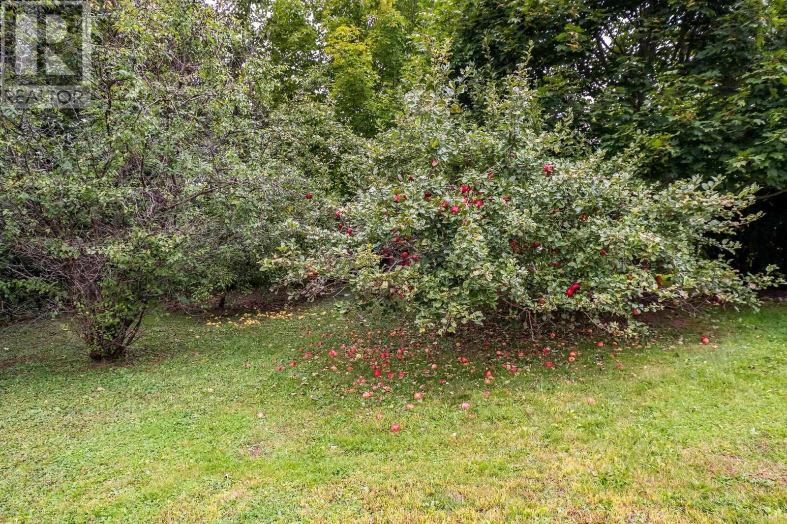 788 Highway 341 - Image 44