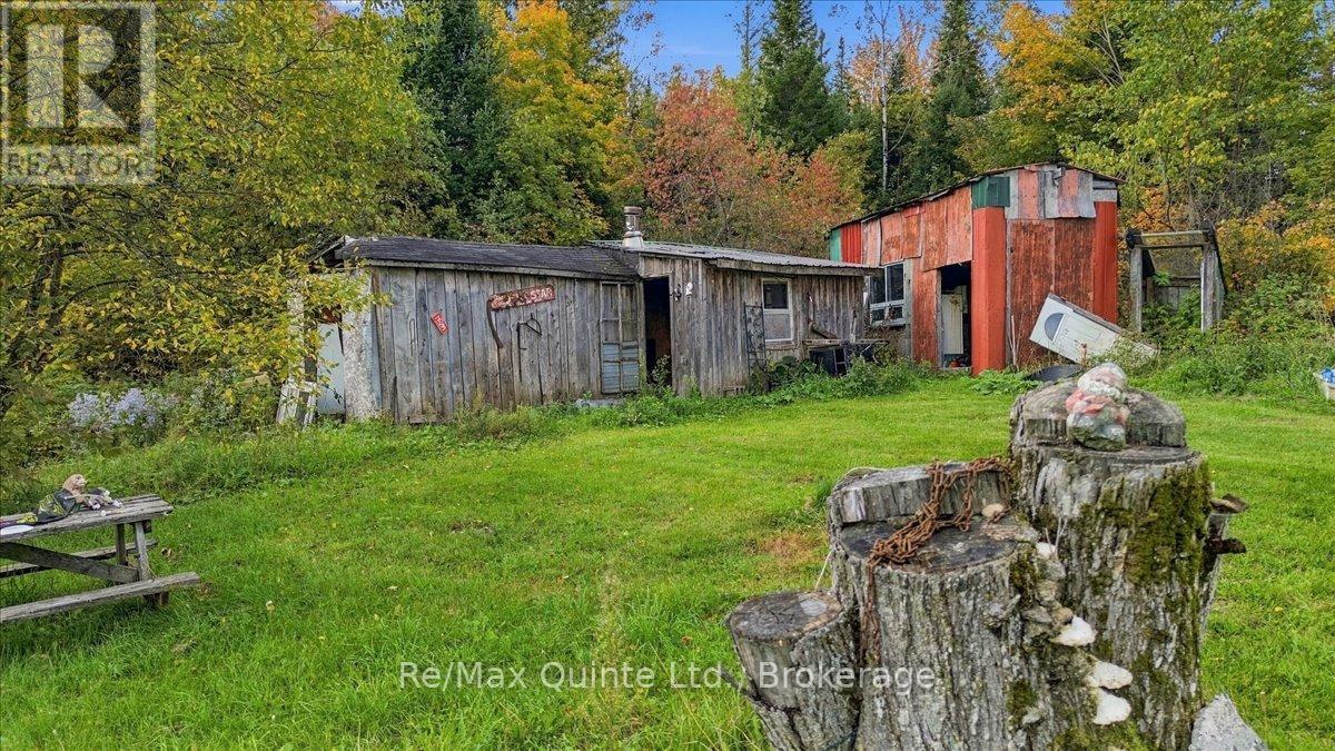 984 Cleveland Road, Tudor & Cashel, ON photo 21