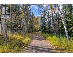 31 Riverside Place, Cochrane, AB T4C1J6 Photo 41