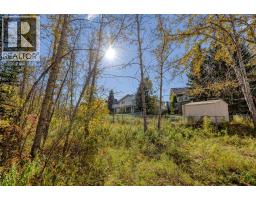 31 Riverside Place, Cochrane, AB T4C1J6 Photo 39