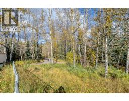 31 Riverside Place, Cochrane, AB T4C1J6 Photo 40