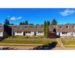 113 Village On The Green Gr Nw, Edmonton, AB T5A1H2 Photo 39