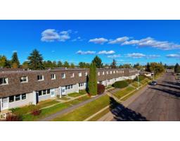 113 Village On The Green Gr Nw, Edmonton, AB T5A1H2 Photo 42