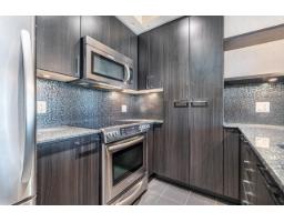 A210 20211 66 Avenue, Langley, BC V2Y0L4 Photo 17