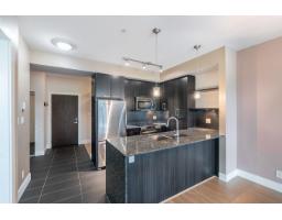 A210 20211 66 Avenue, Langley, BC V2Y0L4 Photo 13
