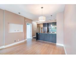 A210 20211 66 Avenue, Langley, BC V2Y0L4 Photo 21