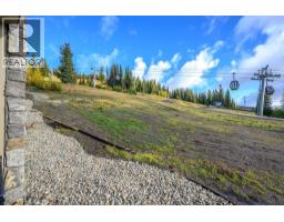 170 Silver Lode Lane Lane Unit# 105, Silver Star, BC V1B3M1 Photo 17