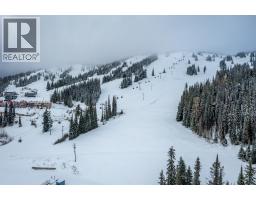 170 Silver Lode Lane Lane Unit# 105, Silver Star, BC V1B3M1 Photo 38