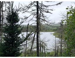 . Intervale Road, Huntington, NS B1K1T9 Photo 13