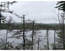 . Intervale Road, Huntington, NS B1K1T9 Photo 12