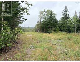 . Intervale Road, Huntington, NS B1K1T9 Photo 6