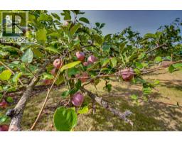 3275 Upper Mcleod Road, Spallumcheen, BC V4Y0S6 Photo 71