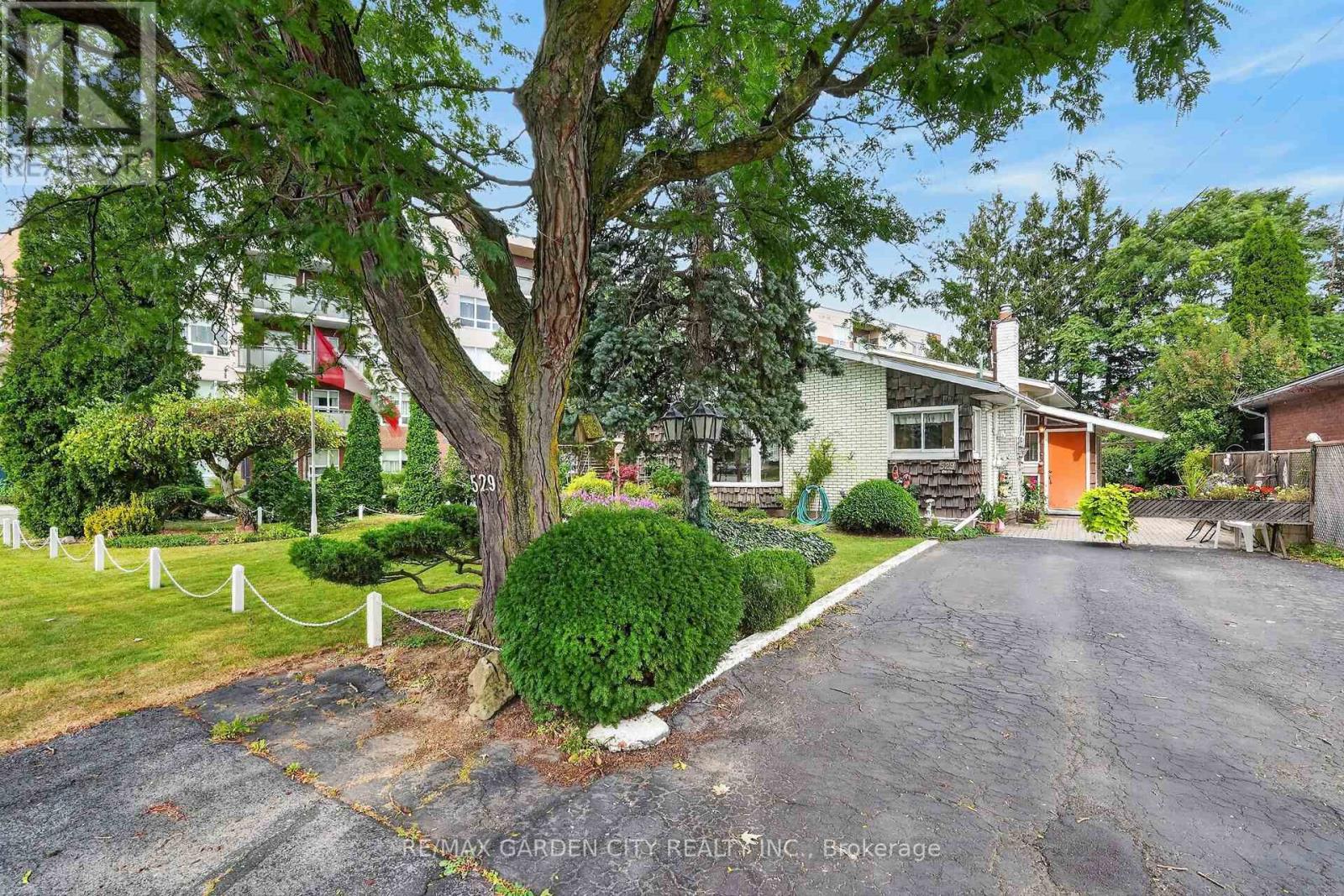 529 CARLTON STREET - 1