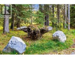 44 Elk Valley Grove, Rural Rocky View County, AB T0L0K0 Photo 49