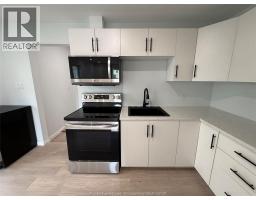 3847 Matchett Road, Windsor, ON N9C2A3 Photo 9