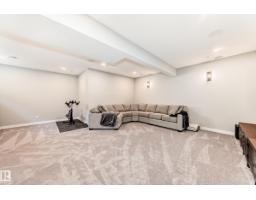 22380 93 Av Nw, Edmonton, AB T5T7L9 Photo 43