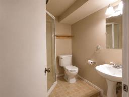 34088 41n Road, Blumenort, MB R0A0C1 Photo 18