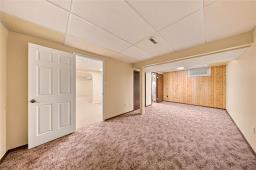 66 Meighen Bay, Winnipeg, MB R2K3M3 Photo 28