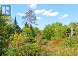 328 Clyde Forks Road, Lanark Highlands, ON K0G1K0 Photo 35