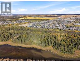69 Caribou Crescent, Red Deer, AB T4P0P5 Photo 44