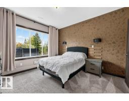 858 Hodgins Rd Nw Nw, Edmonton, AB T6M0K8 Photo 42