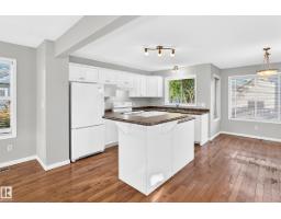 Utility room - 1022 80 St Sw, Edmonton, AB T6X1E6 Photo 9