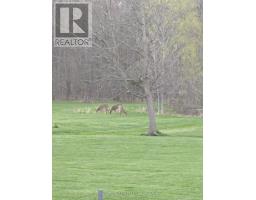 12259 Brawn Road, Wainfleet, ON L0S1V0 Photo 41