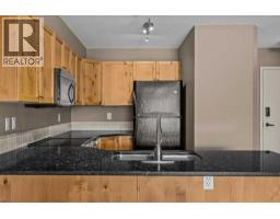 322, 300 Palliser Lane, Canmore, AB T1W0H5 Photo 10