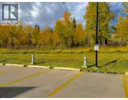 322, 300 Palliser Lane, Canmore, AB T1W0H5 Photo 33