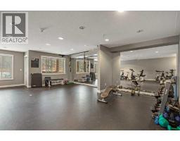 322, 300 Palliser Lane, Canmore, AB T1W0H5 Photo 35