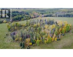 On Range Road 6-0, Rural Clearwater County, AB T4T2A1 Photo 19