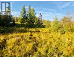 On Range Road 6-0, Rural Clearwater County, AB T4T2A1 Photo 22