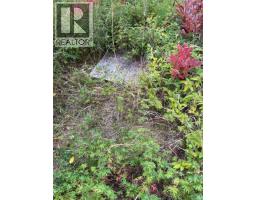 1205 Corcan Rd, Qualicum Beach, BC V9K2R6 Photo 56