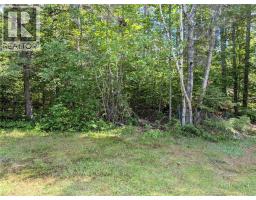 8 Fenton Street, Miramichi, NB E1N3G3 Photo 39