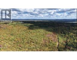 Saint David Ridge Road, photo 4