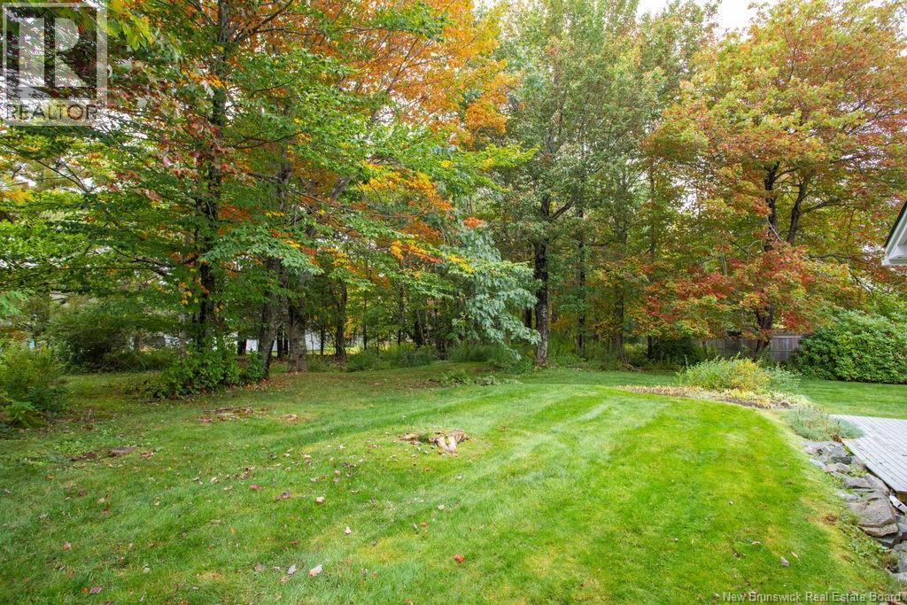 38 Forest Road - Image 46