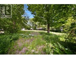 4905 Eramosa-erin Townline, Erin, ON L7J2L7 Photo 6